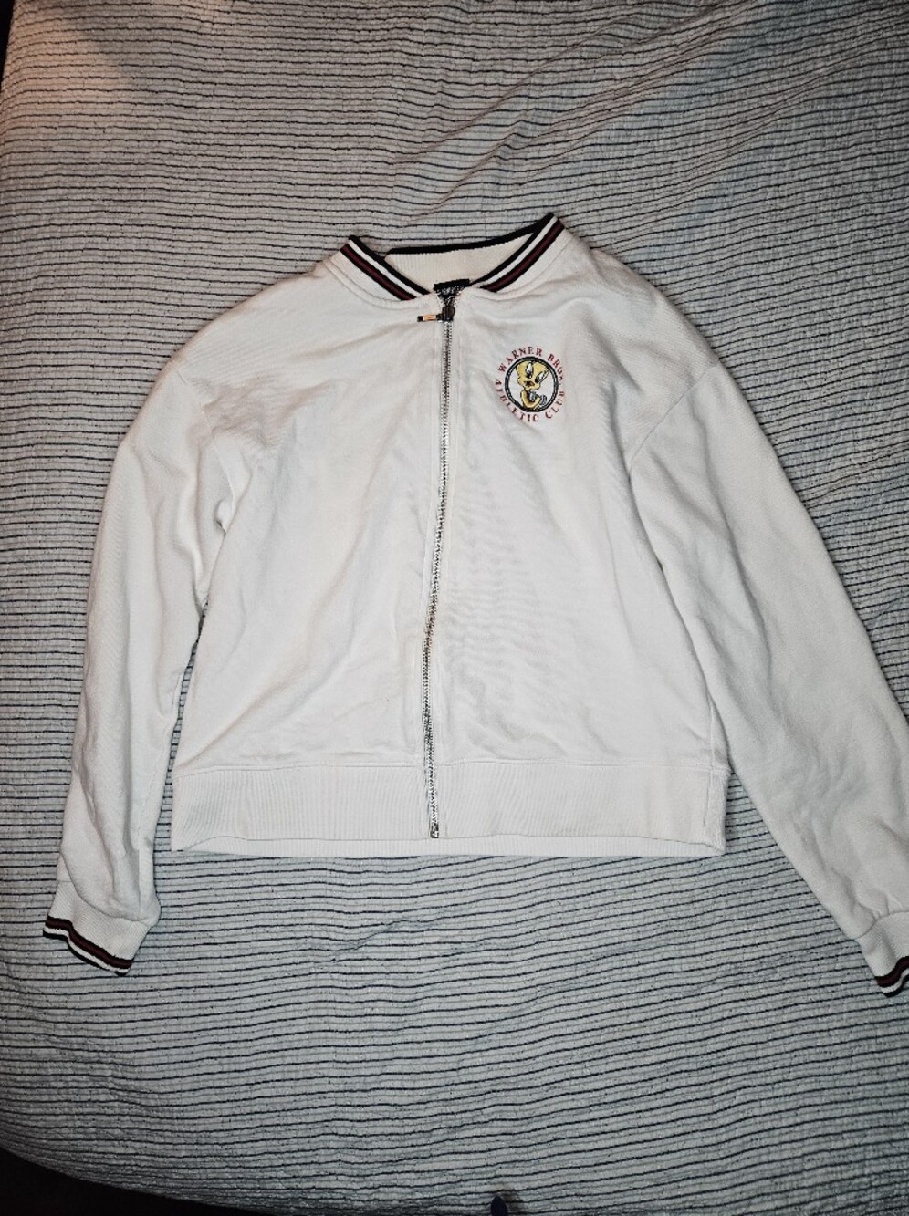 Authentic Warner Bros. Club Sweater Jacket Tweety Bird Warner Bros. Store XS